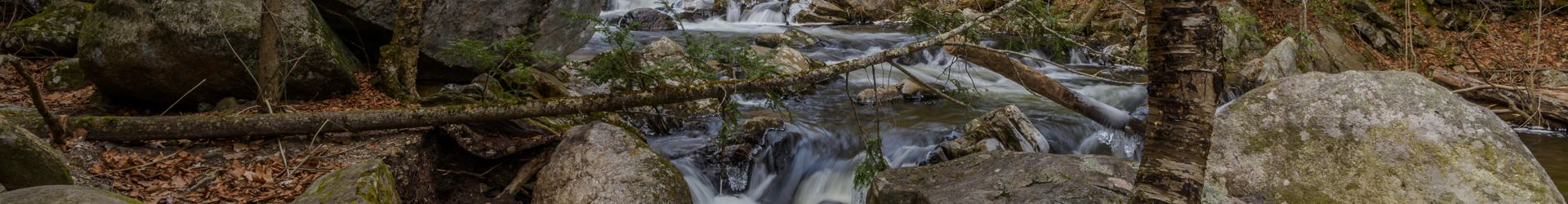 Southwick Shutterstock 1590557701