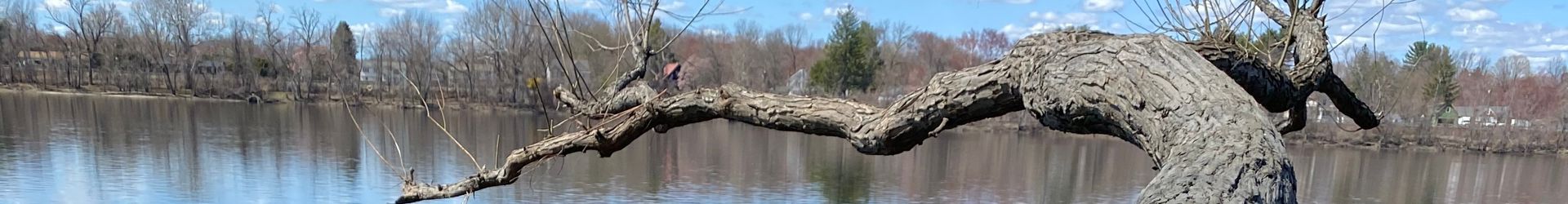 Longmeadow, MA Shutterstock 1952160175 Cropped